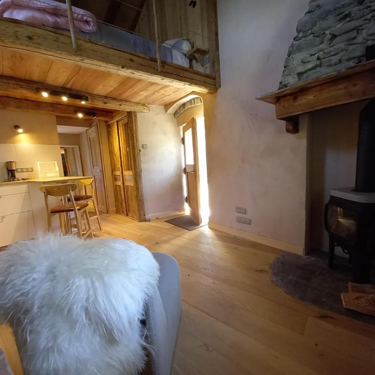 Bourg Saint Maurice Les Arcs - maisonnette grand confort dans charmant village de montagne ! - Chalet 1 Chambre - 2