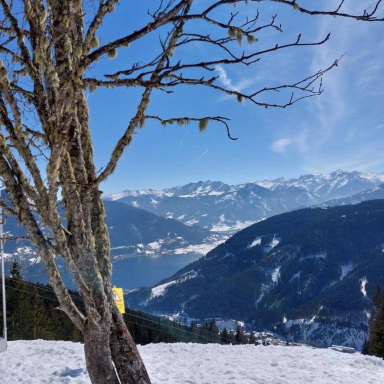 Chalet Peter - Chalet - 30