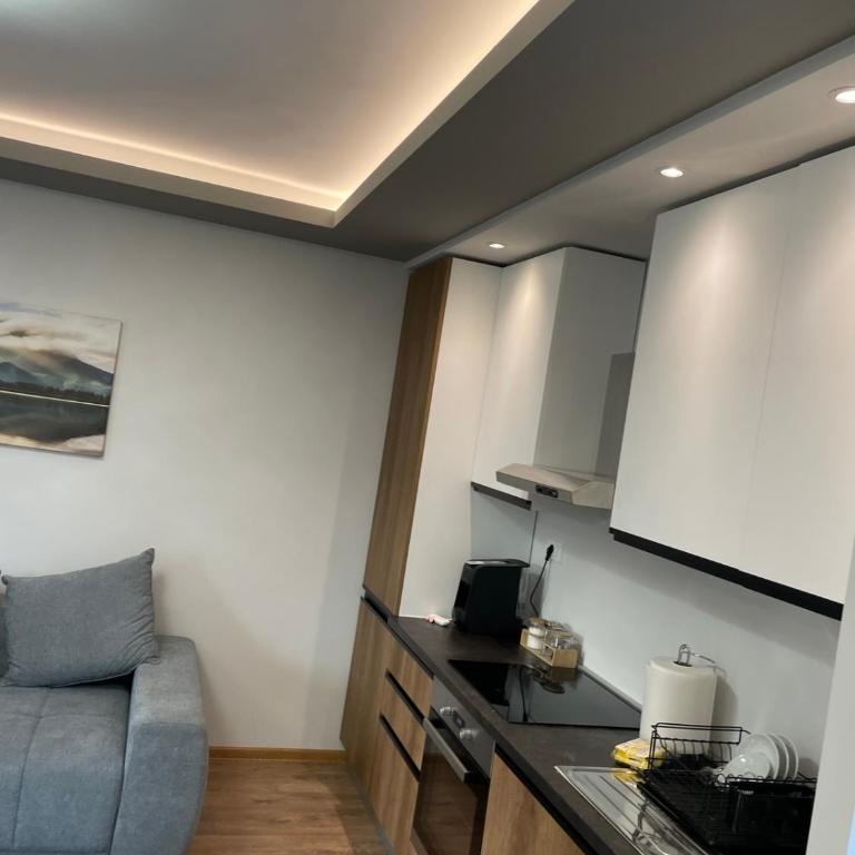 Apartmani Zelenika - Standard Villa - 4
