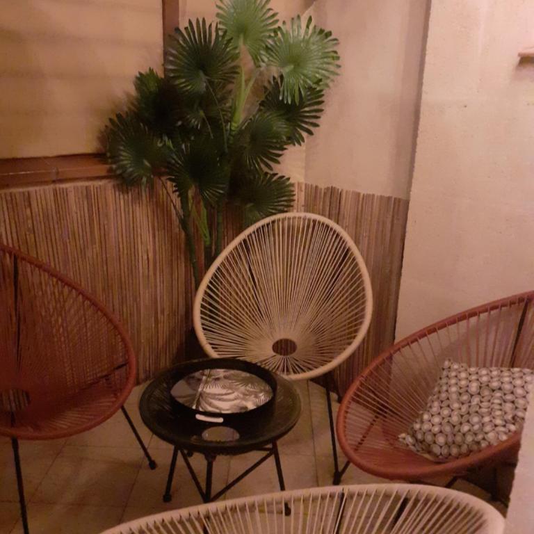 Bordeaux Chartrons superbe T2 avec terrasse - Appartement 1 Chambre - 18