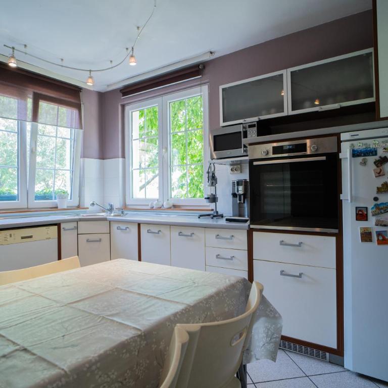 Family / Coworking Retreat Belgrade - Vila sa 3 Spavaće Sobe - 27