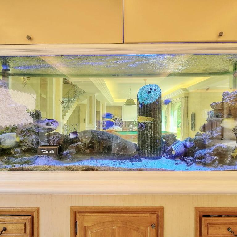 Propriété Prestige Mougins Cannes Hammam sauna, SPA,DISCOTHEQUE salle de Cinéma - Deluxe Villa - 34
