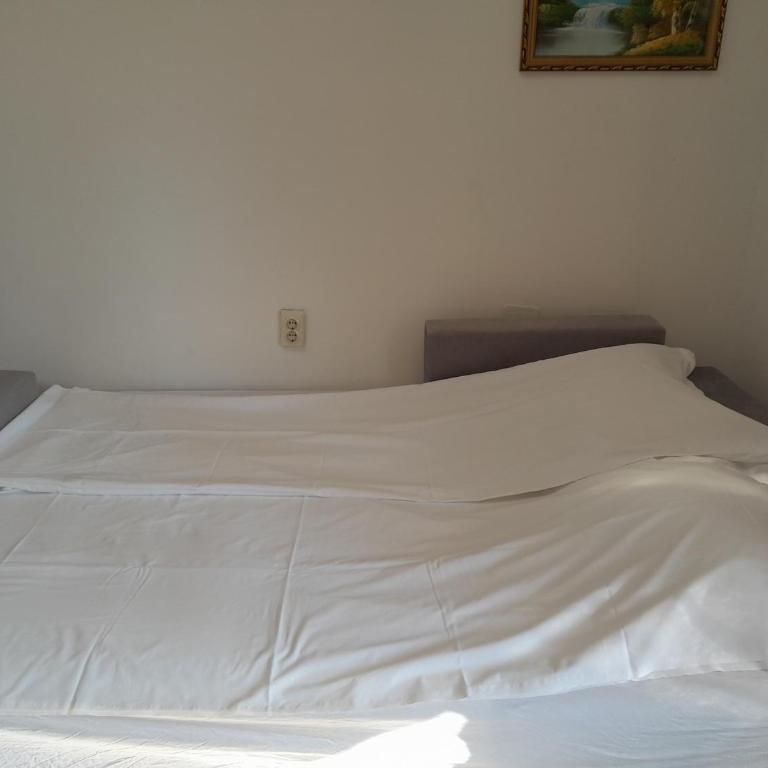 Mijovic Apartments - Apartman sa Terasom - 10