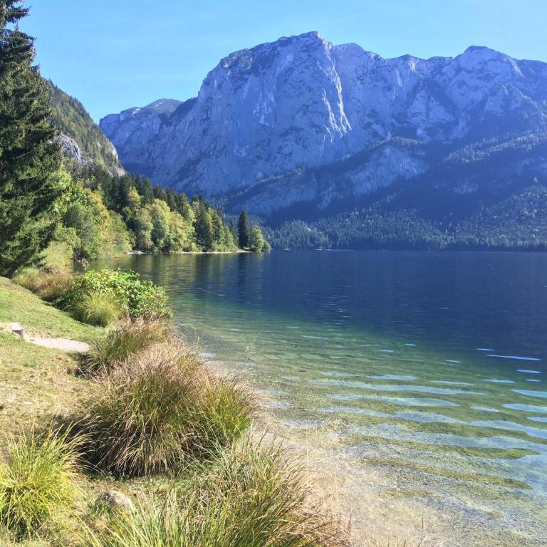 Villa Frischmuth am See - Appartement - Vue sur Lac - 4