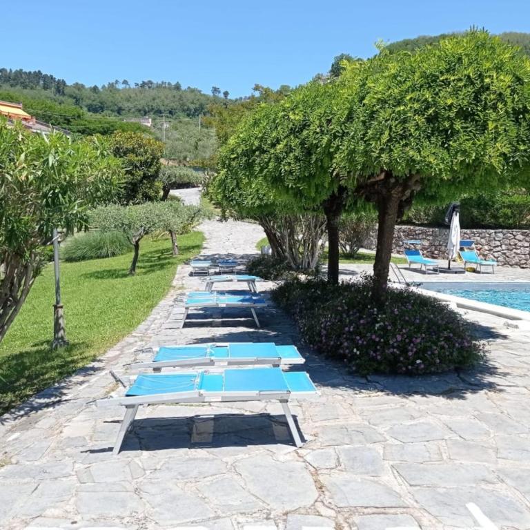 Casa degli Ulivi - mytouristhome - Appartamento Superior - 1