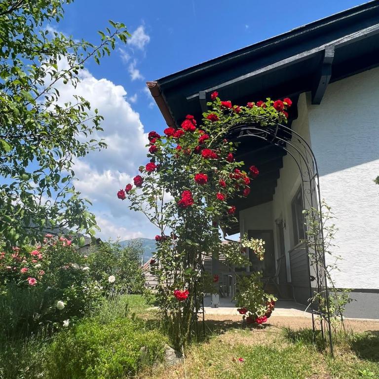 Ferienhaus Lara - Haus mit 3 Schlafzimmern - 6