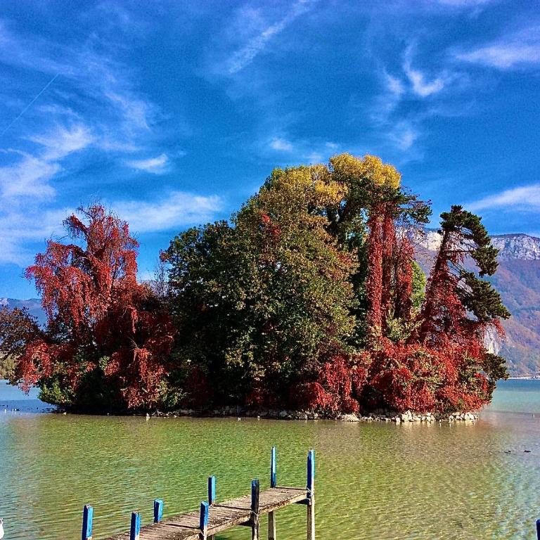 LAKE HOME - Apartment mit 1 Schlafzimmer - 58