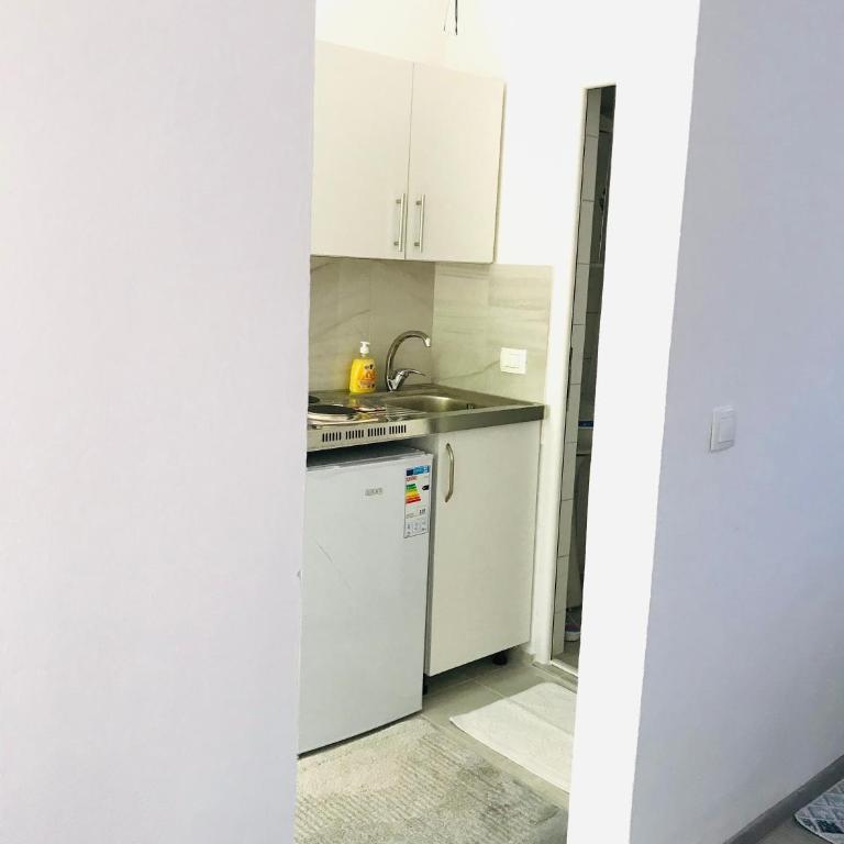 Oldmill Apartment - One-Bedroom Apartment - 4