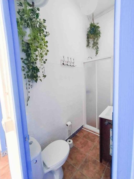 “Flor de Sal” Charming Traditional Andalusian House - One-Bedroom House - 19
