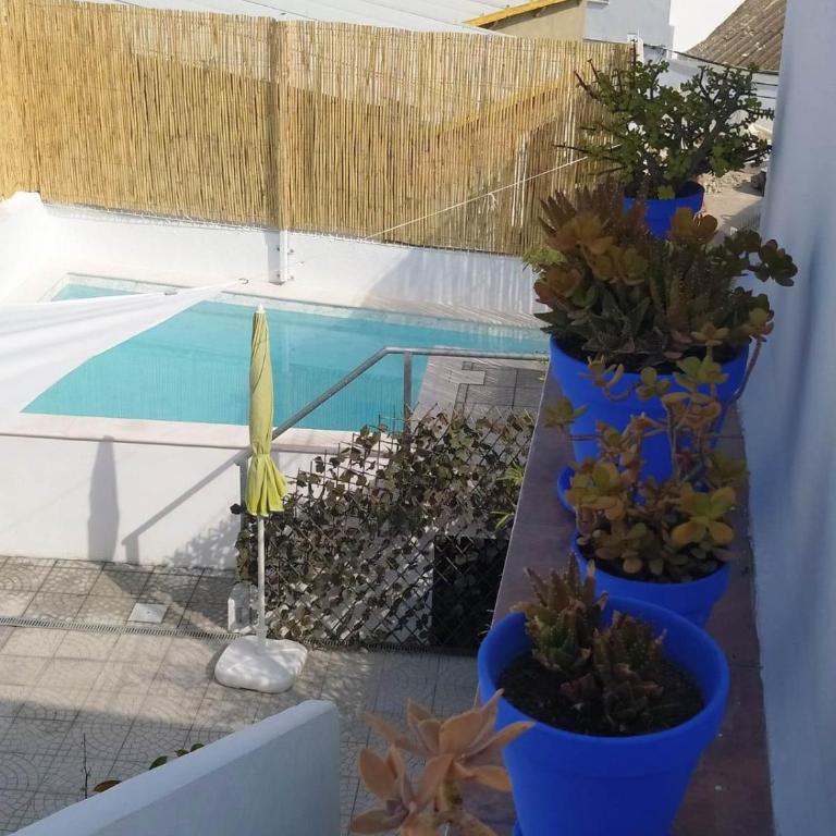 “Flor de Sal” Charming Traditional Andalusian House - One-Bedroom House - 11