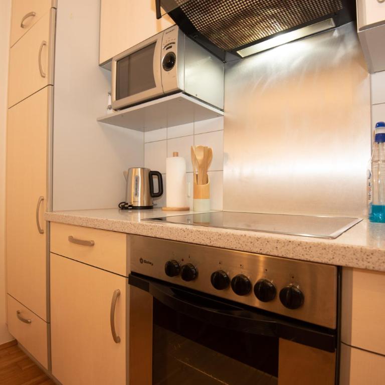 Appartements in Graz beim LKH - Appartamento con 2 Camere da Letto - 3