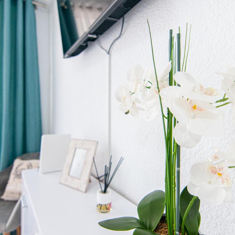Cosy Studio in Playa de Las Americas PH10 - Studio - 4