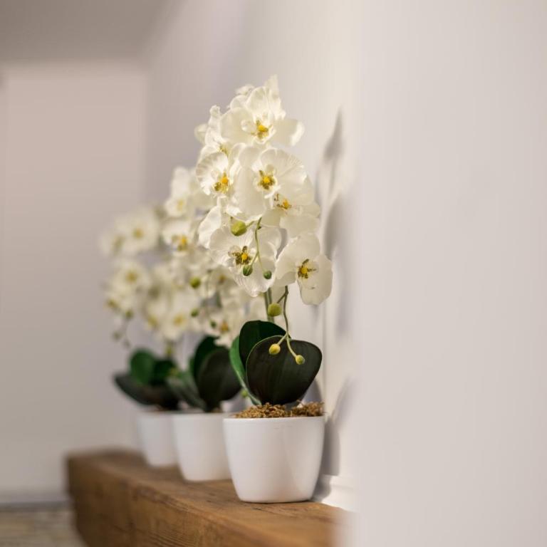 Orchideen Apartment - Apartamento con terraza - 15