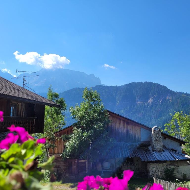 Sumaela Apartments - Apartment mit Blick auf die Berge - 1