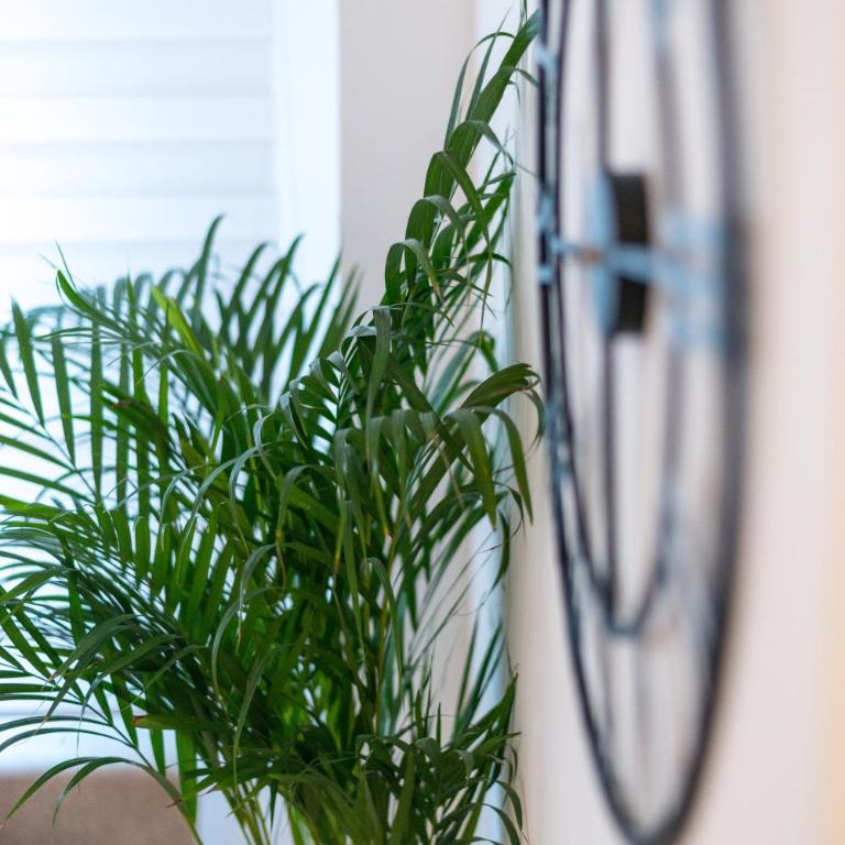 Orchideen Apartment - Apartamento con terraza - 9