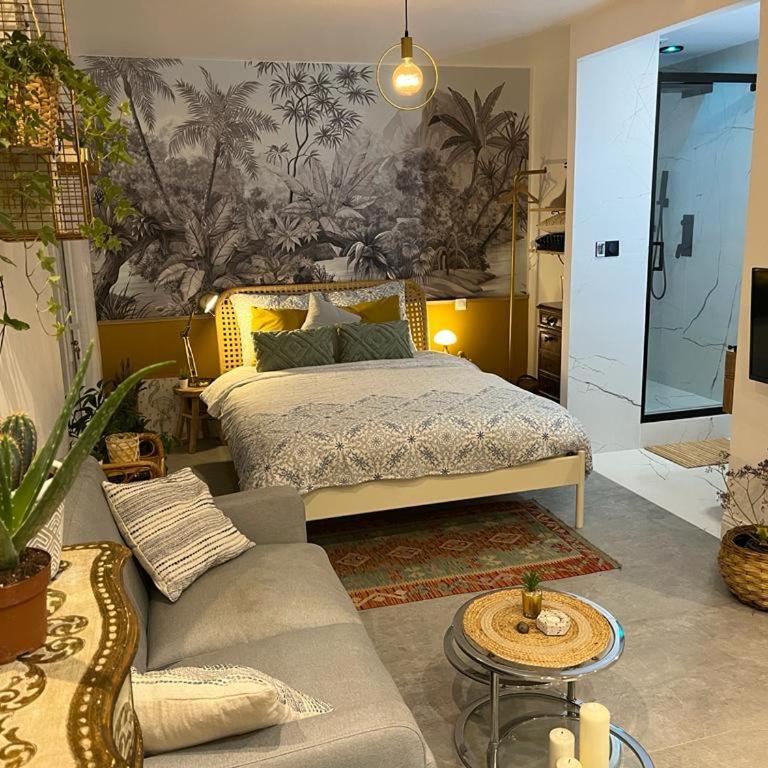 Superbe appartement avec jacuzzi avec jardin privé - Maison 1 Chambre - 20