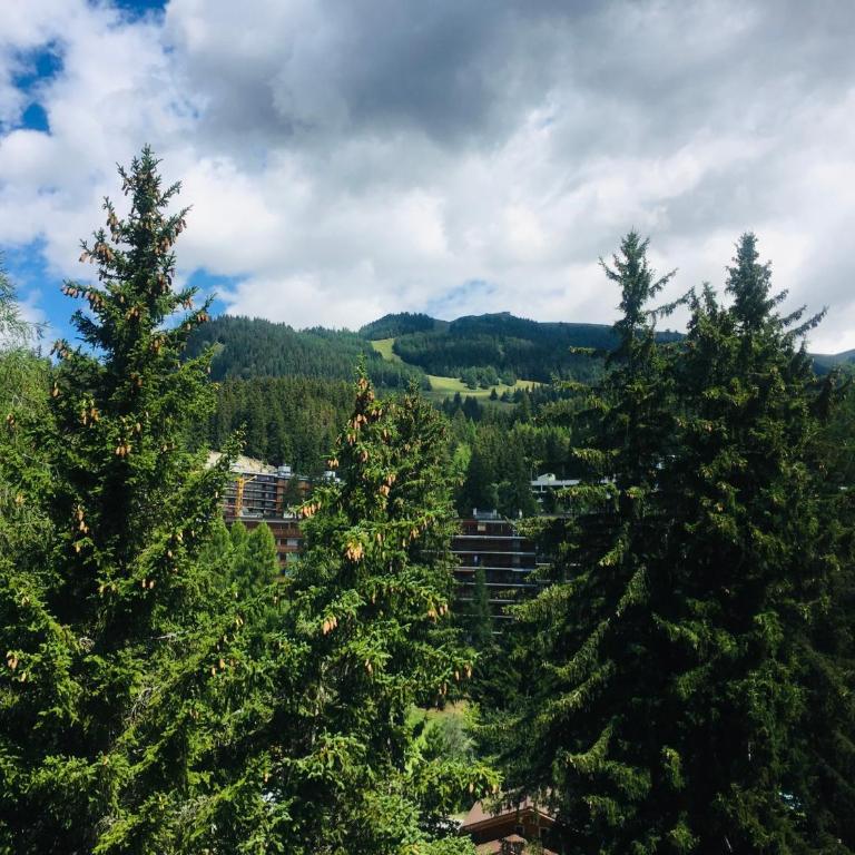 Le studio d’autrefois - Studio with Mountain View - 14