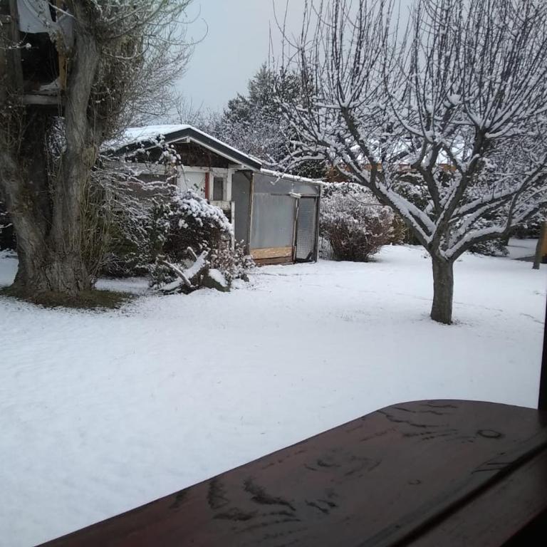 Hermosa Cabaña a metros del Lago - Chalet de 2 dormitorios - 61