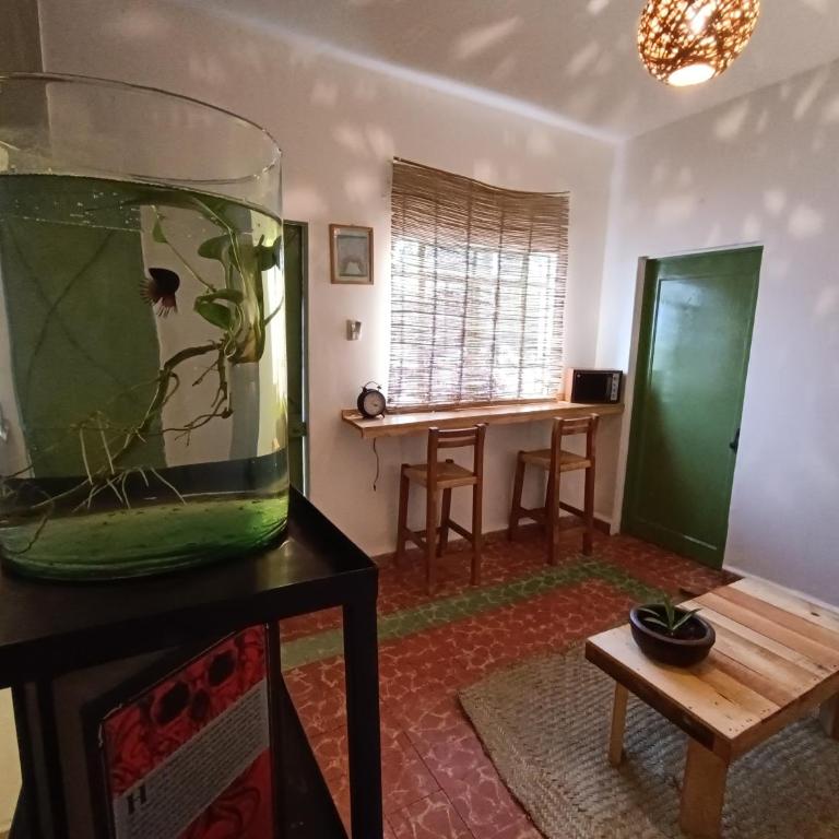 Posada Casa Mexicana Jamaica - Family Room - 6