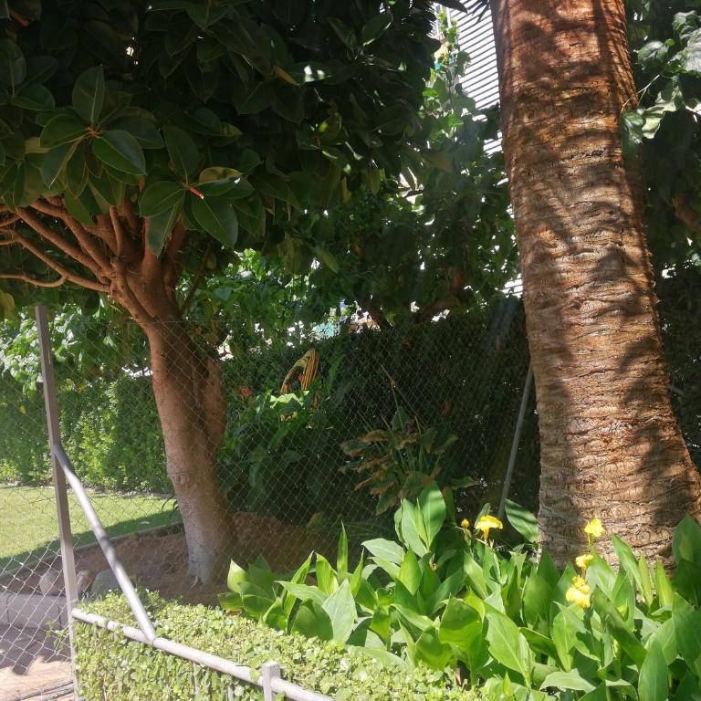 Edificio Salou Beach, la Pineda, Vilaseca - Apartment with Pool View - 41