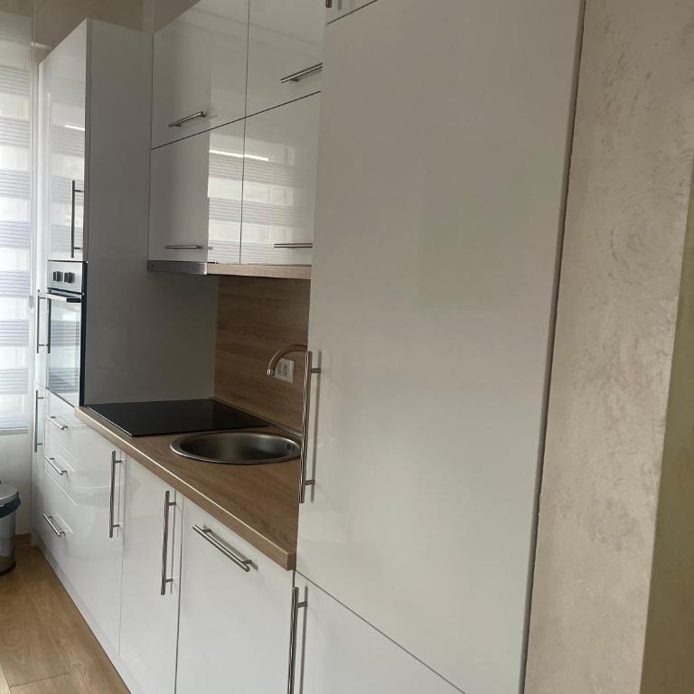 Anja Lux Apartman - Apartman sa 1 Spavaćom Sobom - 4