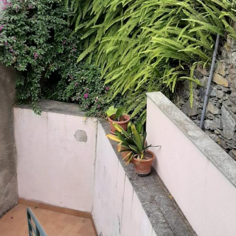 Casa del trogolo - Apartamento de 2 dormitorios - 20
