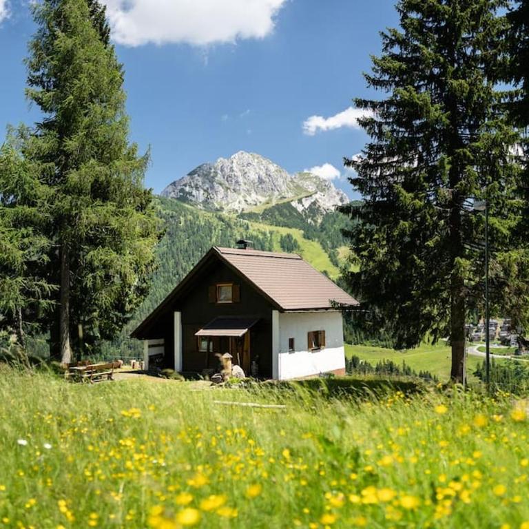 Gemütliche Skihütte Nassfeld - Ski-in Ski-out - Chalet - 26