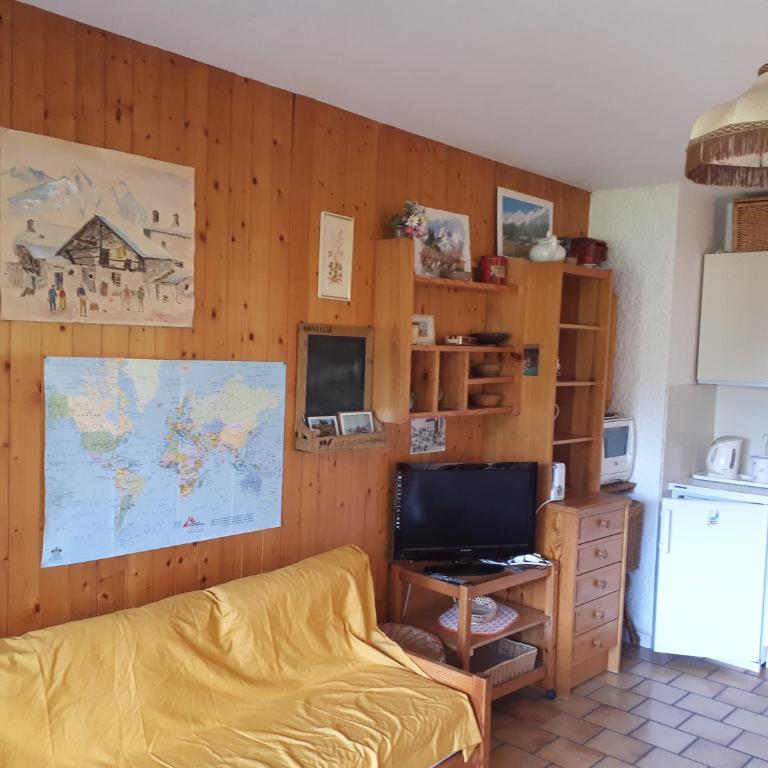 Studio belle vue sur les montagnes - One-Bedroom Apartment - 3