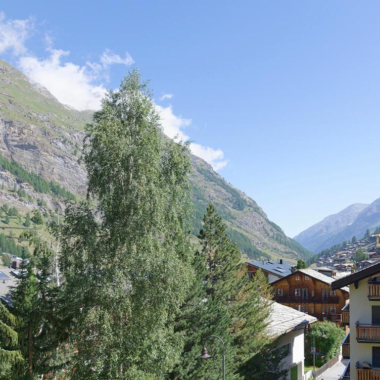 Zermatt Appartements - Superior Studio Parrot - 10