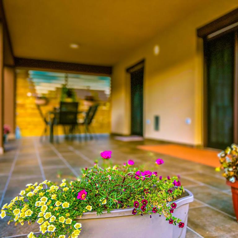 Daman Villa - Deluxe Villa - 19