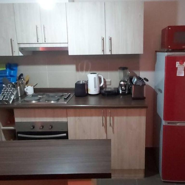 Comodo y Equipado Departamento en Villarica - Apartamento de 2 dormitorios - 4