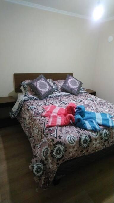 Comodo y Equipado Departamento en Villarica - Apartamento de 2 dormitorios - 16
