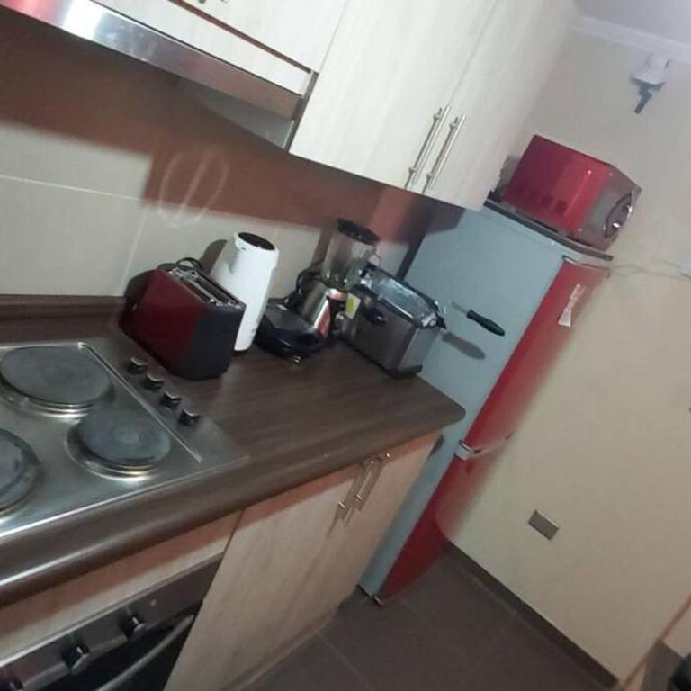 Comodo y Equipado Departamento en Villarica - Apartamento de 2 dormitorios - 19
