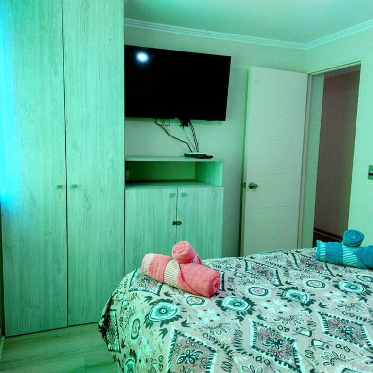Comodo y Equipado Departamento en Villarica - Apartamento de 2 dormitorios - 21
