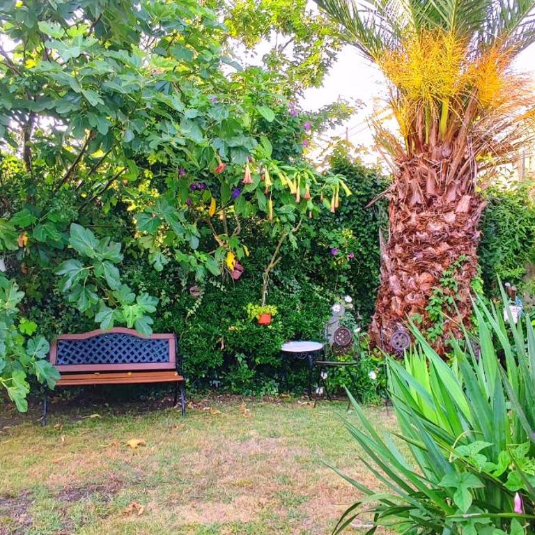 Pisos Vistalegre 2A con jardín tranquilos cerca del mar - Apartamento de 1 dormitorio - 4