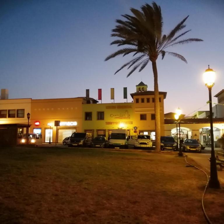 Amarillo Sun - Apartamento de 2 dormitorios - 39