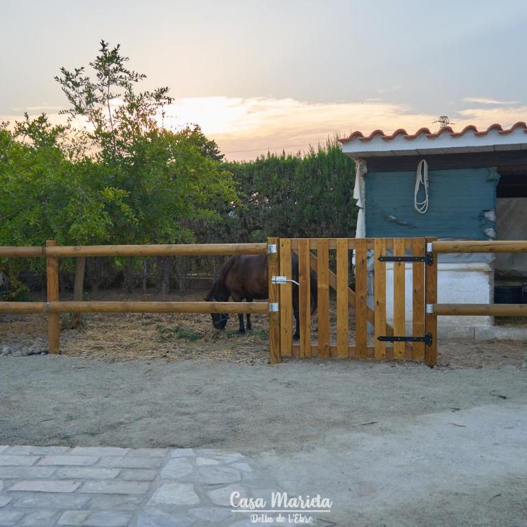 La Casa de Marieta "B" - Vacation Home - 36