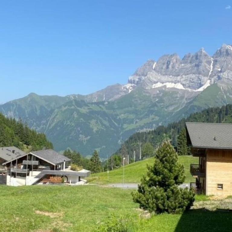Residence D Appartement 1 - Apartment mit 2 Schlafzimmern - 7