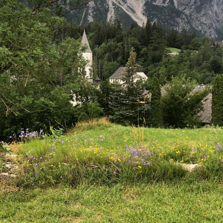 Appartment Christine Bad Aussee - Apartamento de 1 dormitorio - 24