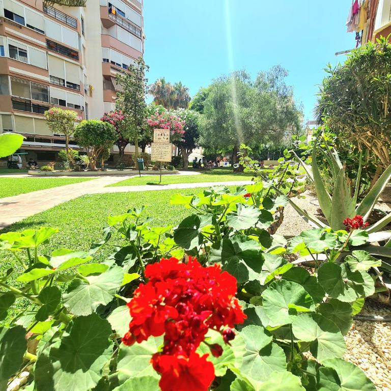 AA Guest - El Mono de Torre del Mar Eco Apartment - Apartamento Estudio - 35