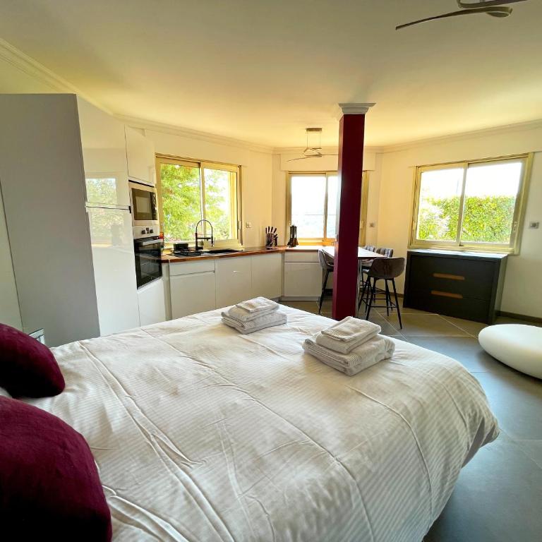 Villa Loubliere - Maison 6 Chambres - 27