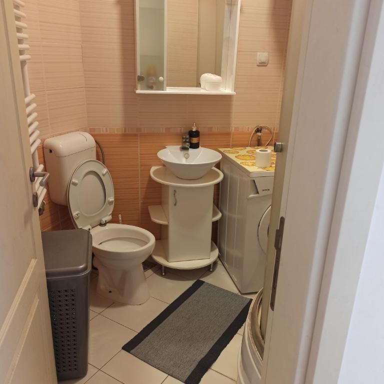Cozy studio Belgrade (Zemun) - Apartman - 19