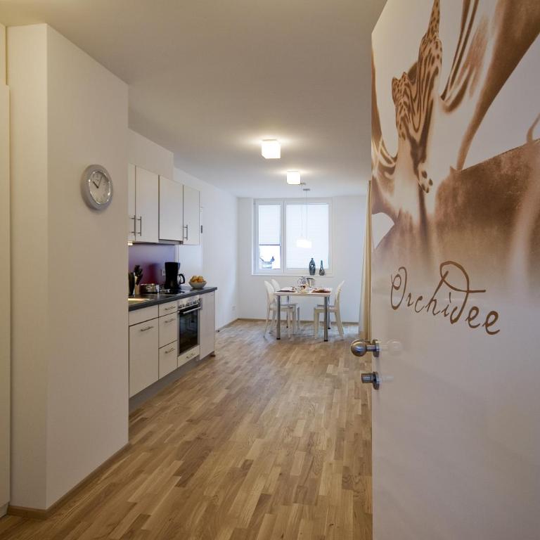 Abina Appartements de Luxe - Monolocale con Terrazza - 7