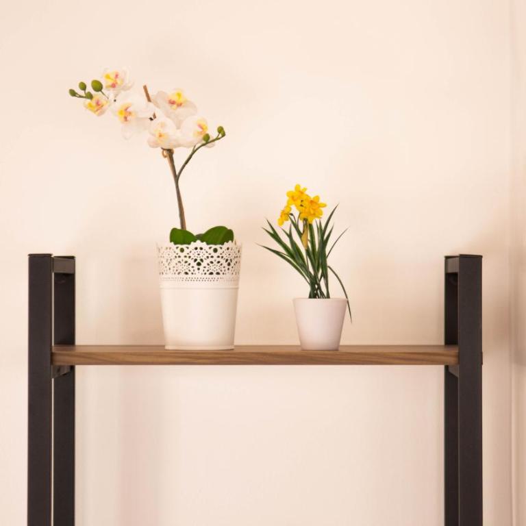 Engadin Apartments - Free Parking - Dupleks Apartman - 9