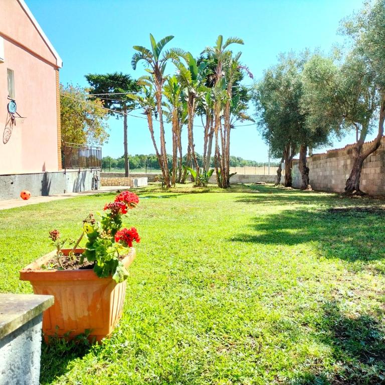 La Casa di Ludovica - Casa con 3 Camere da Letto - 6