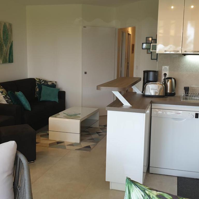 Garden and beach sea view apartment Cannes - Appartement 2 Chambres - 36