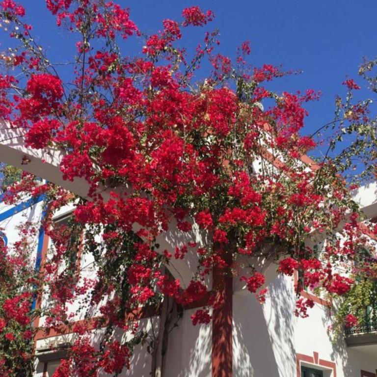 Charming 1 Bedroom Apartment in Puerto de Mogn - Apartamento - 23