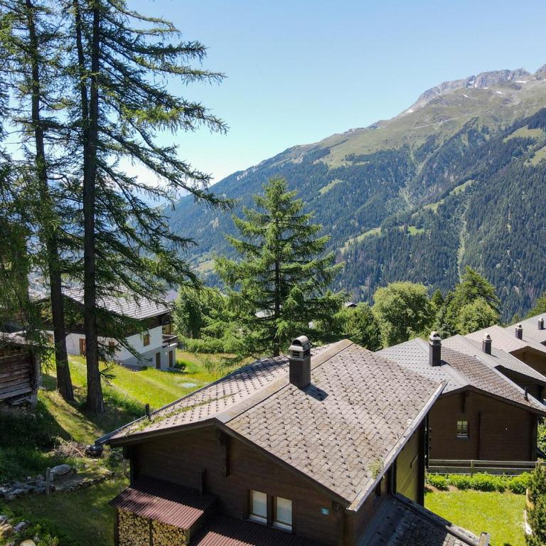 Chalet Kira mit Hotpot - Chalet mit 2 Schlafzimmern - 14