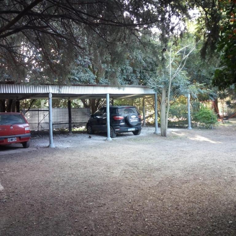 Las Casuarinas II - Apartamento de 3 dormitorios - 3