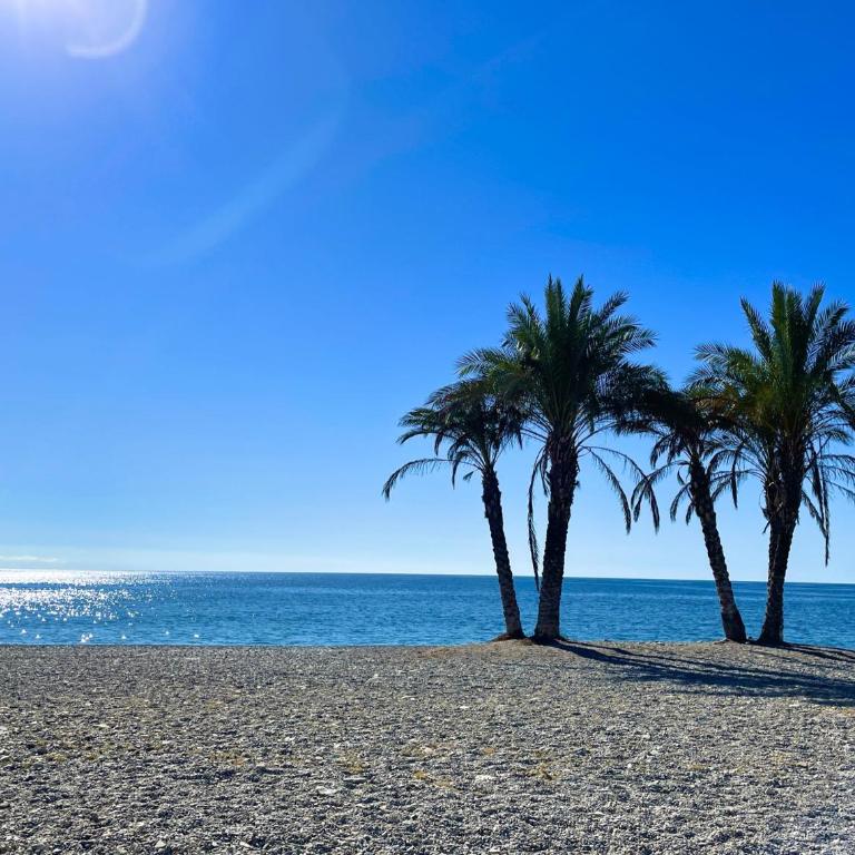 Villa Alicia - Villa with Private Pool - 25